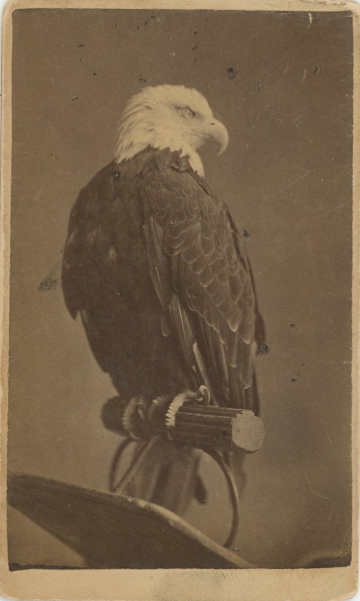 Click here to see the details of this item