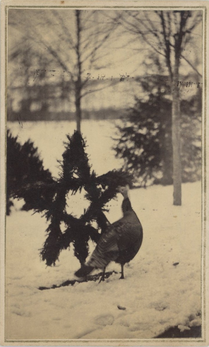 Click here to see the details of this item