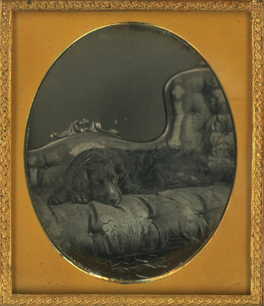 Click here to see the details of this item