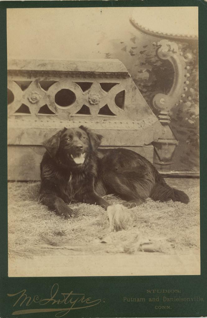 Click here to see the details of this item