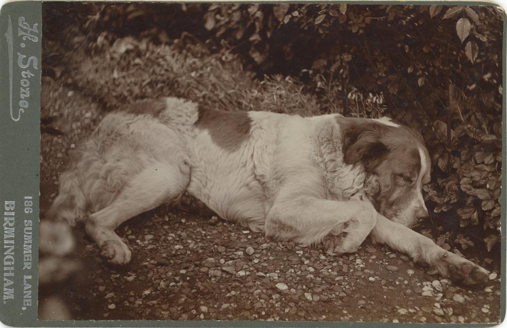 Click here to see the details of this item