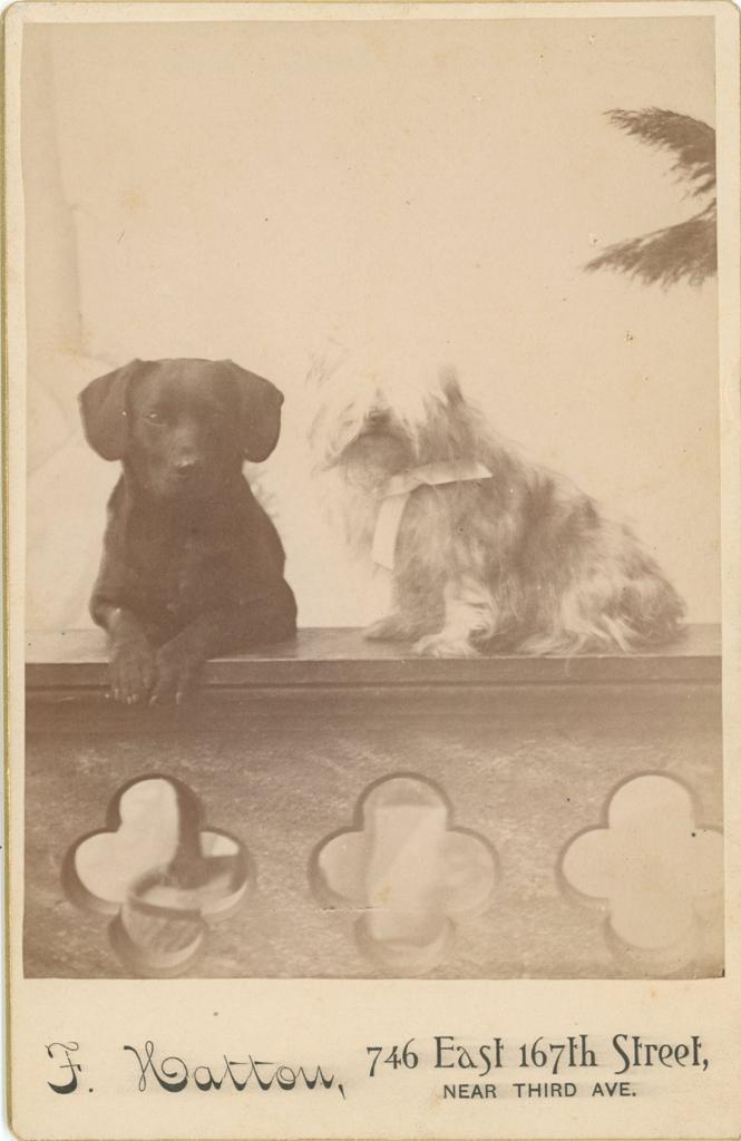 Click here to see the details of this item