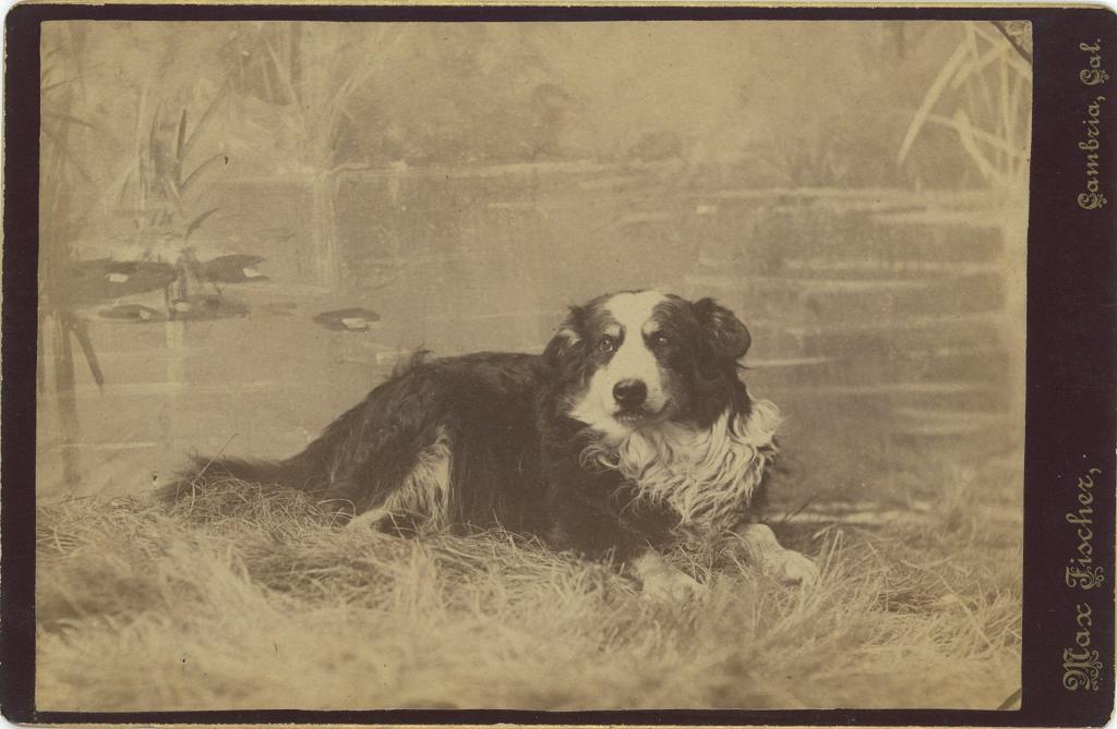 Click here to see the details of this item