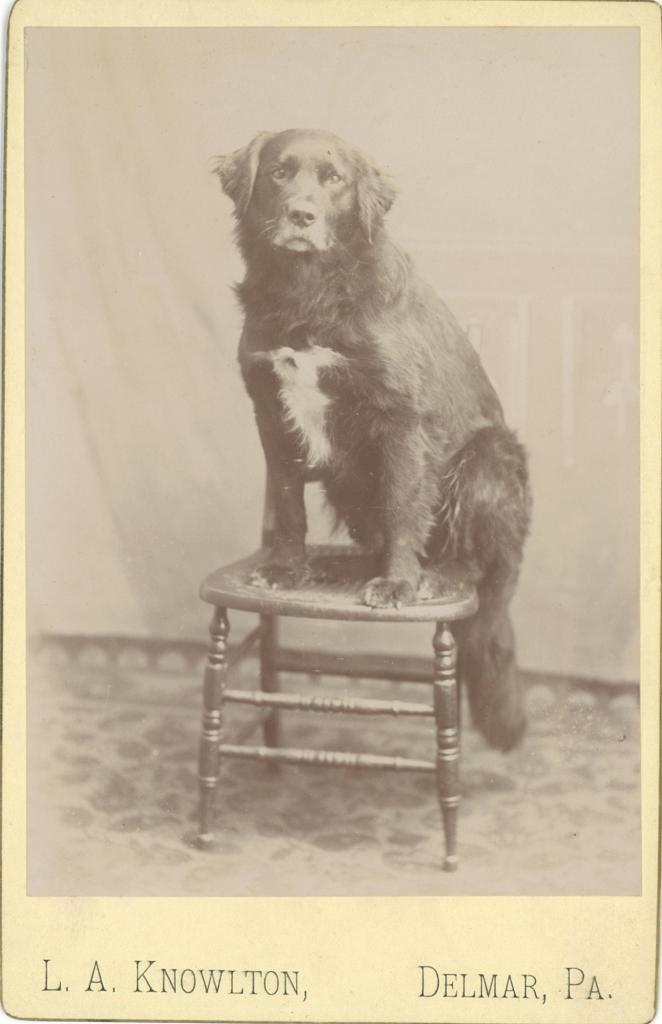 Click here to see the details of this item