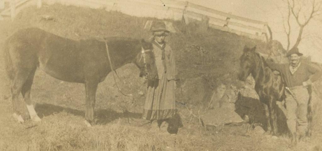 Click here to see the details of this item