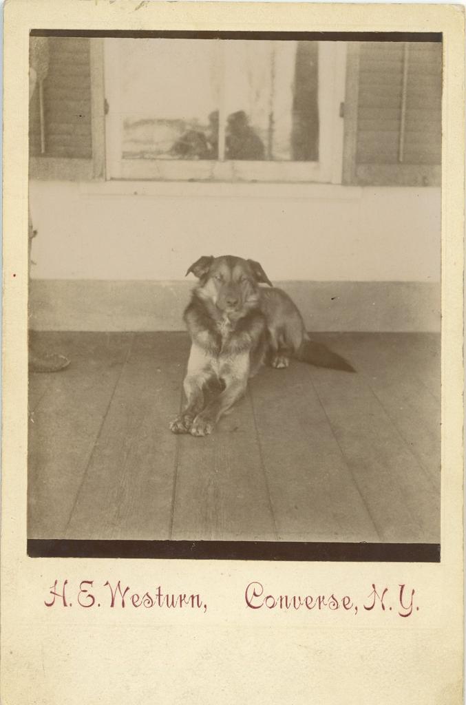 Click here to see the details of this item