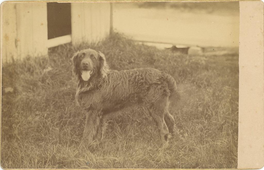 Click here to see the details of this item