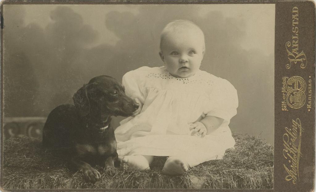 Click here to see the details of this item