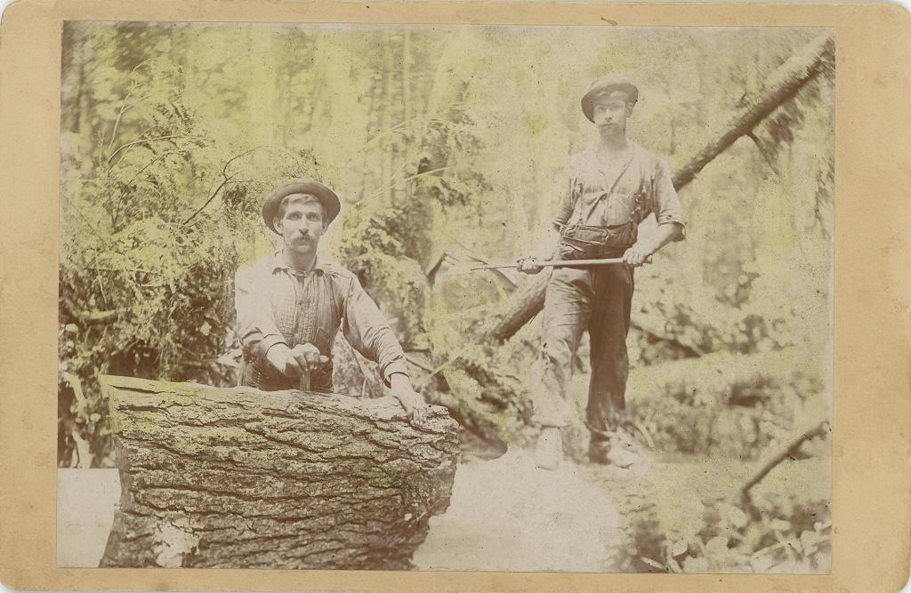 Click here to see the details of this item