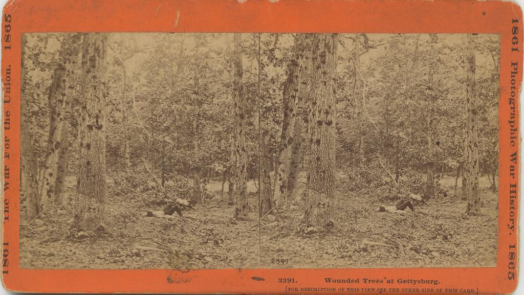 Click here to see the details of this item